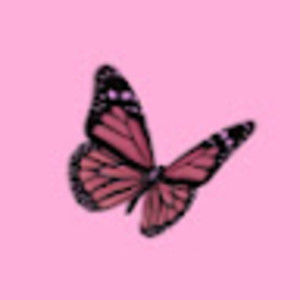 Meet your Posher, Sonya